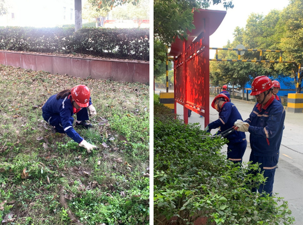 1648564183520065.png 長壽--官網222.png