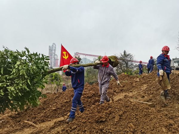 1649212666854938.jpg 黨員植樹活動--官網.jpg